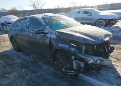 3KPF54AD3RE780004: 44073828