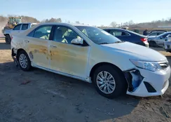 4T1BF1FK4EU396872: 44075813