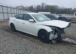 1N4BL4BV4KC244564: 44075245