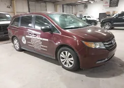 5FNRL5H61EB135792: 44075312