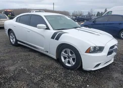 2C3CDXBGXDH668639: 44076264