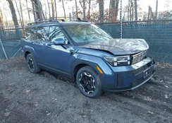 5NMP24GLXTH161301: 44076380