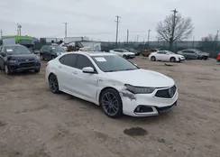 19UUB2F61KA003748: 44077677