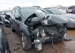 1FMCU0HD0KUC50080: 44077679