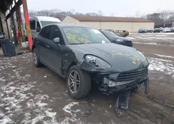 WP1AA2A56MLB08584: 44078130