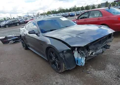 1FA6P8CF4M5118247: 44077450