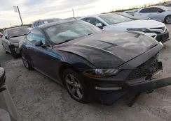 1FA6P8TH3K5123227: 44079118