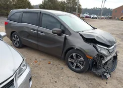 5FNRL6H81JB043504: 44080585