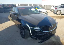 1G6DC5RKXT0100091: 44080484