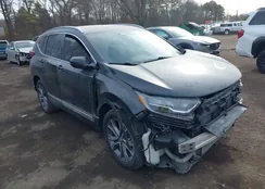 2HKRW2H97NH601484: 44081623