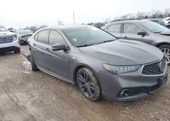 19UUB2F61KA003670: 44081693