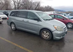 5FNRL38766B029028: 44081829