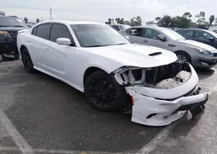 2C3CDXHG4LH167221: 44083482