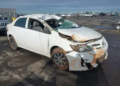 5YFBU4EE2DP204531: 44085141