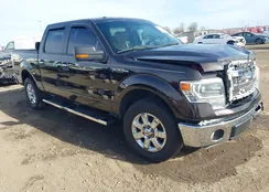 1FTFW1CF4EKF59920: 44084461