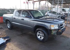 1D7HW48K58S524507: 44085810