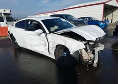 2C3CDXAG0DH715890: 44085816