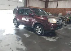 5FNYF4H69BB066763: 44085843