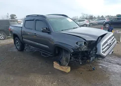 5TFCZ5AN1GX032693: 44085456