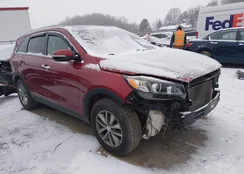 5XYPG4A39GG033500: 44086625