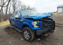 1FTEW1EP5GKF11847: 44086878