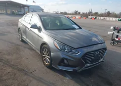 5NPE24AF7JH679215: 44087662