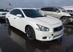 1N4AA5AP7EC479765: 44087795