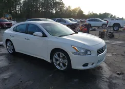 1N4AA5AP2CC802973: 44088008