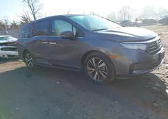 5FNRL6H86NB067383: 44087296