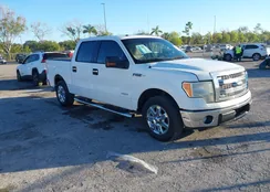 1FTFW1CT3DFC76986: 44088881