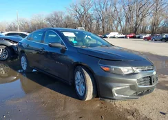 1G1ZD5ST2JF199611: 44089142