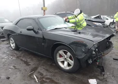 2B3LJ44V49H621064: 44088201