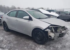 2T1BURHEXGC509126: 44090073