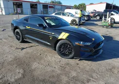 1FA6P8CF2N5149191: 44091891