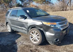 1FM5K7D88FGC60201: 44091545