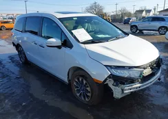 5FNRL6H66RB008256: 44092506