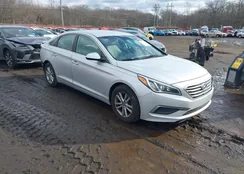 5NPE24AF4GH313009: 44093798