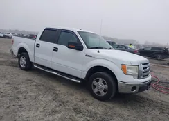 1FTEW1CM6BFB81405: 44093940