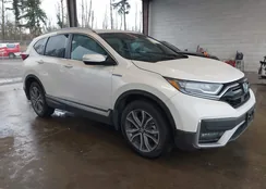 5J6RT6H97NL014546: 44094006