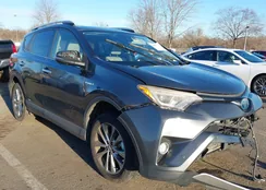 JTMDJREV5GD037667: 44095052