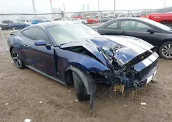 1FA6P8TH3L5172798: 44094450