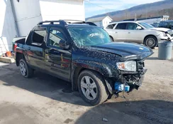 5FPYK1F5XDB018610: 44094488