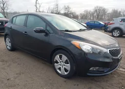 KNAFK5A84G5576707: 44095751