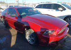 1ZVBP8AM9E5291576: 44095781