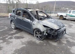 1FMCU9JX7EUB74824: 44095831