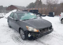 1HGCP2F73BA016023: 44095855