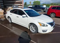 1N4AL3APXFC233499: 44095968