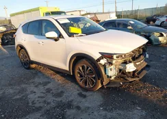 JM3KFBDM5N0609695: 44095438