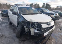 JTMZFREV4GJ081586: 44096240