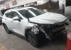 JTJGKCEZ9S2063765: 44096396